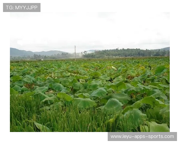 ¦ó+¡-++Õ-¼-ñ¦¦¦¾ú¦+ãÐºÐÁ-À+¹ðº